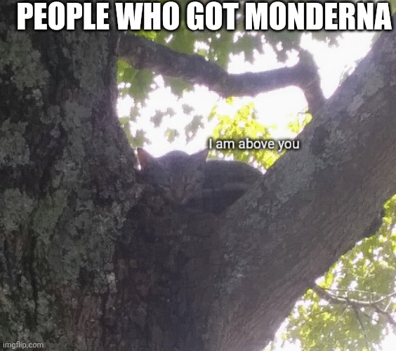 Cat I am above you | PEOPLE WHO GOT MONDERNA | image tagged in cat i am above you | made w/ Imgflip meme maker