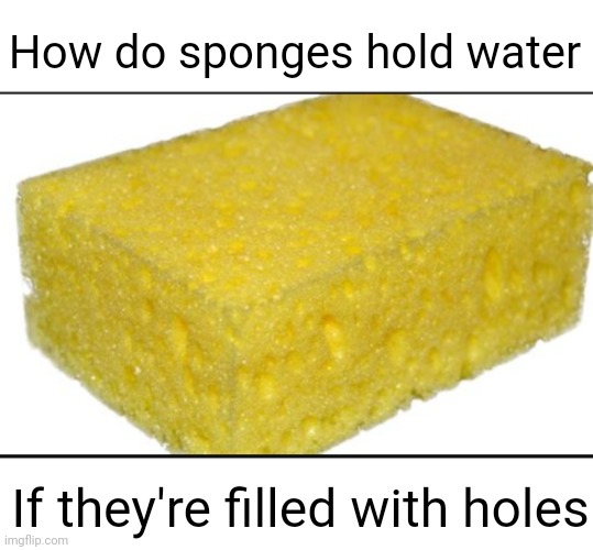 Meme #2,251 | How do sponges hold water; If they're filled with holes | image tagged in shower thoughts,memes,sponge,holes,water,hmmm | made w/ Imgflip meme maker