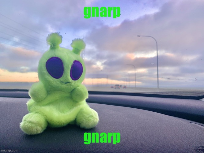 (maybe) new announcement temp????? | gnarp; gnarp | image tagged in gnarp gnarp plush | made w/ Imgflip meme maker