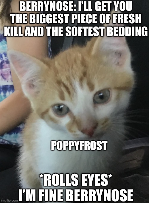 Poppyfrost and Berrynose. *sigh* | BERRYNOSE: I’LL GET YOU THE BIGGEST PIECE OF FRESH KILL AND THE SOFTEST BEDDING; POPPYFROST; *ROLLS EYES*
I’M FINE BERRYNOSE | image tagged in ginger kitten | made w/ Imgflip meme maker