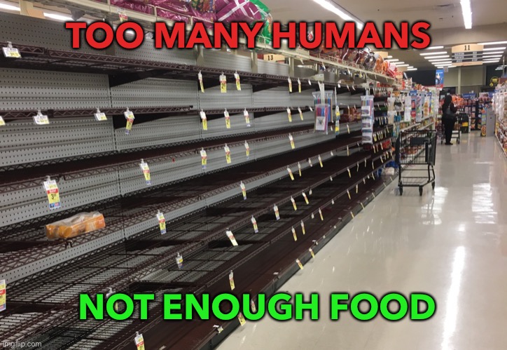 Too many humans | TOO MANY HUMANS; NOT ENOUGH FOOD | image tagged in empty grocery shelf jewel | made w/ Imgflip meme maker