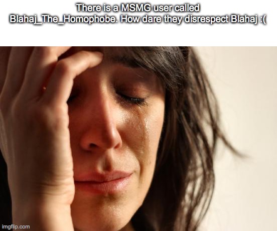 they're taking the darn shark from us | There is a MSMG user called Blahaj_The_Homophobe. How dare they disrespect Blahaj :( | image tagged in memes,first world problems | made w/ Imgflip meme maker