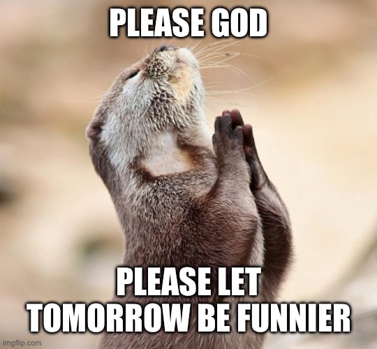 animal praying | PLEASE GOD; PLEASE LET TOMORROW BE FUNNIER | image tagged in animal praying | made w/ Imgflip meme maker