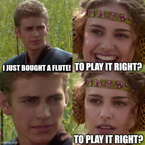 Anakin Padme 4 Panel | I JUST BOUGHT A FLUTE! TO PLAY IT RIGHT? TO PLAY IT RIGHT? | image tagged in anakin padme 4 panel | made w/ Imgflip meme maker