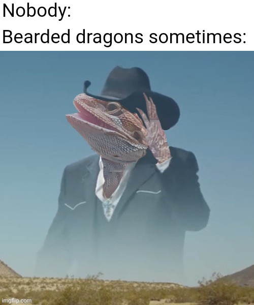 They do be screamin tho | Nobody:; Bearded dragons sometimes: | image tagged in bearded dragon | made w/ Imgflip meme maker
