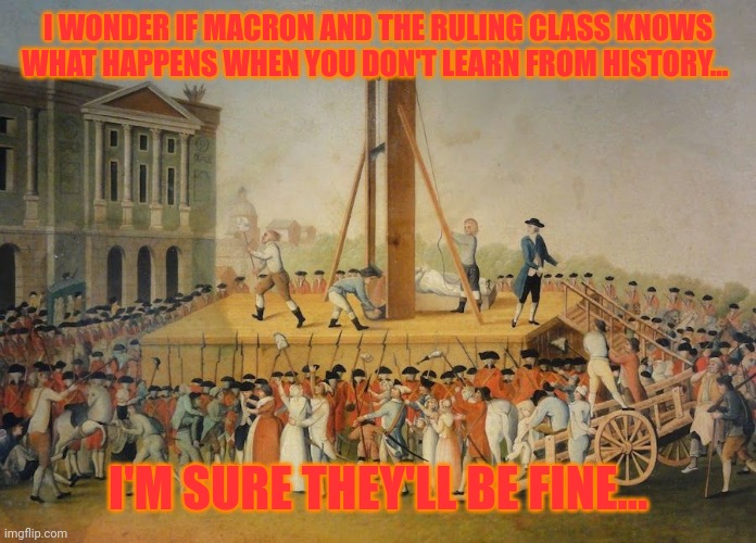 French Revolution Beheading | I WONDER IF MACRON AND THE RULING CLASS KNOWS WHAT HAPPENS WHEN YOU DON'T LEARN FROM HISTORY... I'M SURE THEY'LL BE FINE... | image tagged in french revolution beheading | made w/ Imgflip meme maker