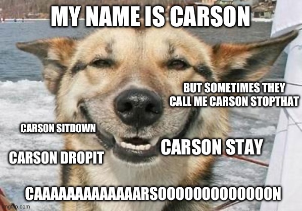 smiling dog | MY NAME IS CARSON; BUT SOMETIMES THEY CALL ME CARSON STOPTHAT; CARSON SITDOWN; CARSON STAY; CARSON DROPIT; CAAAAAAAAAAAAARSOOOOOOOOOOOOON | image tagged in smiling dog | made w/ Imgflip meme maker