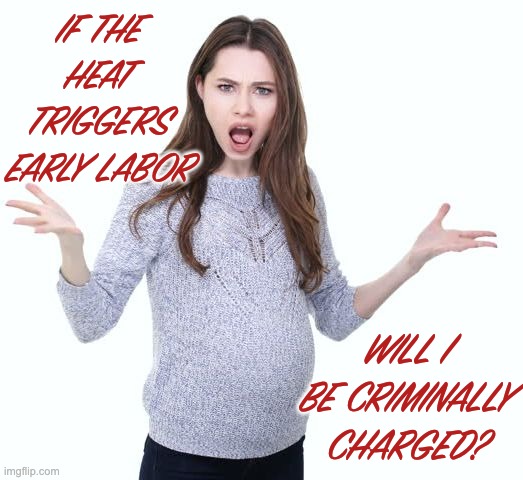 Angry pregnant woman | IF THE HEAT TRIGGERS EARLY LABOR WILL I BE CRIMINALLY CHARGED? | image tagged in angry pregnant woman | made w/ Imgflip meme maker