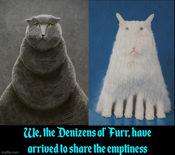 We, the Denizens of Furr, have
arrived to share the emptiness | made w/ Imgflip meme maker