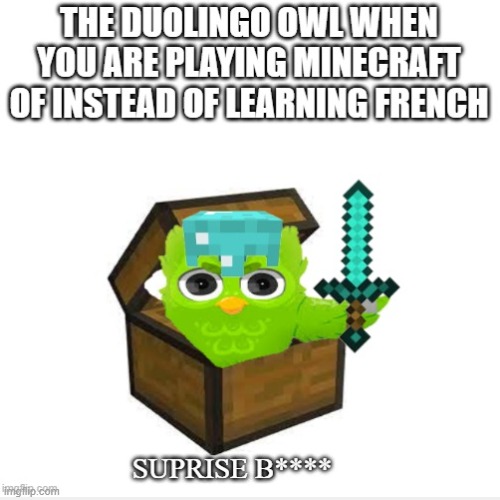 Duolingo owl pt. 3 | image tagged in minecraft,memes,funny,duolingo | made w/ Imgflip meme maker
