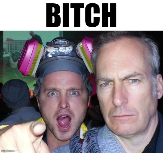 Aaron Paul points at you with Bob Odenkirk staring at you | BITCH | image tagged in aaron paul points at you with bob odenkirk staring at you | made w/ Imgflip meme maker