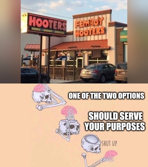 ONE OF THE TWO OPTIONS; SHOULD SERVE YOUR PURPOSES | made w/ Imgflip meme maker