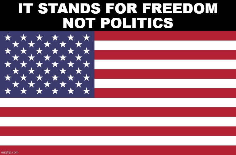 United we stand, divided we fall | IT STANDS FOR FREEDOM
NOT POLITICS | image tagged in american flag,america,politics,freedom,be nice | made w/ Imgflip meme maker