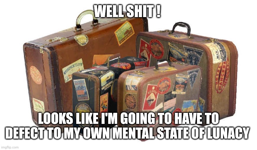 suitcase | WELL SHIT ! LOOKS LIKE I'M GOING TO HAVE TO DEFECT TO MY OWN MENTAL STATE OF LUNACY | image tagged in suitcase | made w/ Imgflip meme maker
