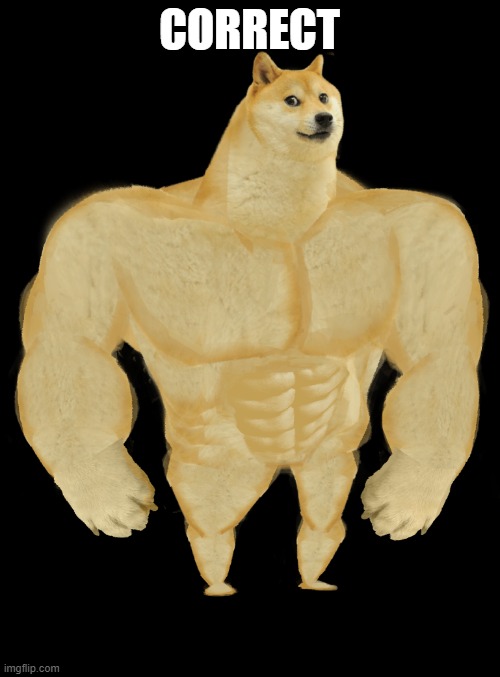 Swole Doge | CORRECT | image tagged in swole doge | made w/ Imgflip meme maker