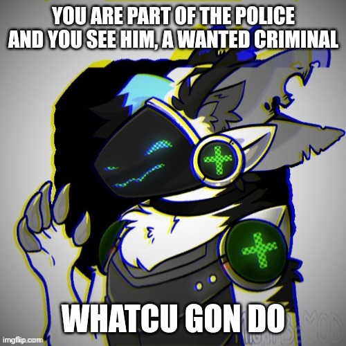 Basic sfw rules | YOU ARE PART OF THE POLICE AND YOU SEE HIM, A WANTED CRIMINAL; WHATCU GON DO | made w/ Imgflip meme maker