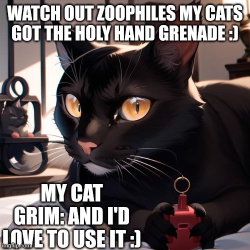 This image Is of my cat but in anime | WATCH OUT ZOOPHILES MY CATS GOT THE HOLY HAND GRENADE :); MY CAT GRIM: AND I'D LOVE TO USE IT :) | made w/ Imgflip meme maker