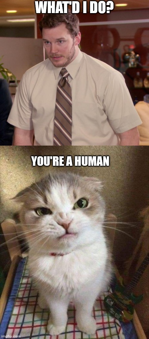 WHAT'D I DO? YOU'RE A HUMAN | image tagged in memes,afraid to ask andy,angry cat | made w/ Imgflip meme maker
