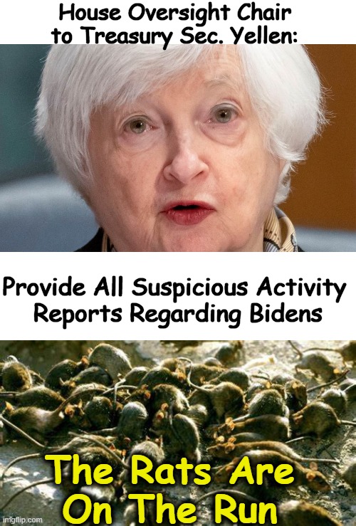 The Evidence is Overwhelming . . . | House Oversight Chair 
to Treasury Sec. Yellen:; Provide All Suspicious Activity 
Reports Regarding Bidens; The Rats Are 
On The Run | image tagged in politics,joe biden,joe biden worries,evidence,abundance,bye bye | made w/ Imgflip meme maker