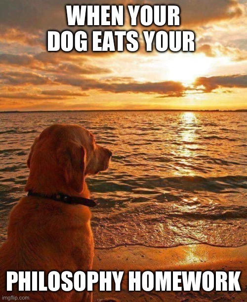 Philosophical Dog | WHEN YOUR DOG EATS YOUR; PHILOSOPHY HOMEWORK | image tagged in philosophical dog | made w/ Imgflip meme maker