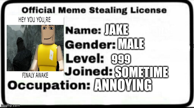 My license | JAKE; MALE; 999; SOMETIME; ANNOYING | image tagged in meme stealing license | made w/ Imgflip meme maker