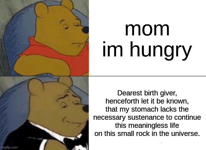 im hungryyyyyyyyy | mom im hungry; Dearest birth giver, henceforth let it be known, that my stomach lacks the necessary sustenance to continue this meaningless life on this small rock in the universe. | image tagged in memes,tuxedo winnie the pooh | made w/ Imgflip meme maker