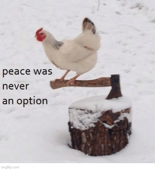 Peace was never an option chicken | image tagged in peace was never an option chicken | made w/ Imgflip meme maker