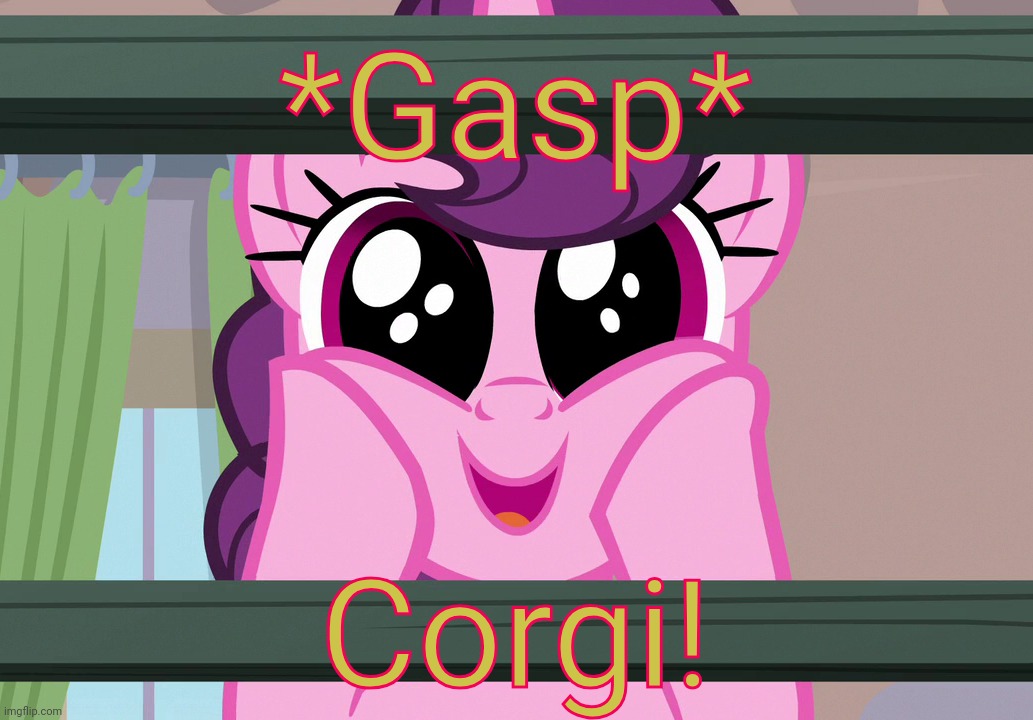 Surprised Sugar Belle (MLP) | *Gasp* Corgi! | image tagged in surprised sugar belle mlp | made w/ Imgflip meme maker