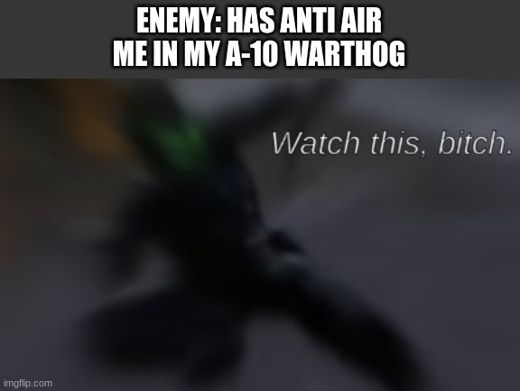 Watch this, bitch | ENEMY: HAS ANTI AIR
ME IN MY A-10 WARTHOG | image tagged in watch this bitch | made w/ Imgflip meme maker