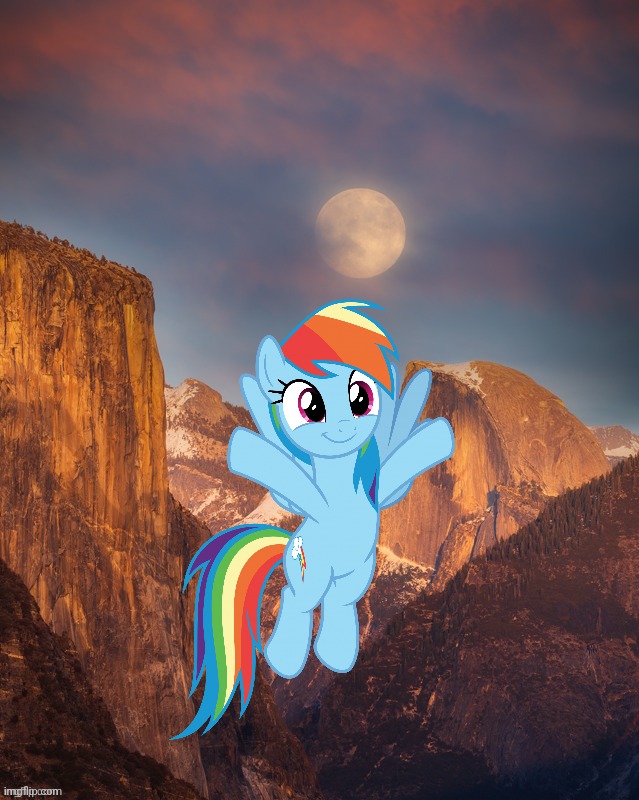 image tagged in rainbow dash,my little pony,real life | made w/ Imgflip meme maker