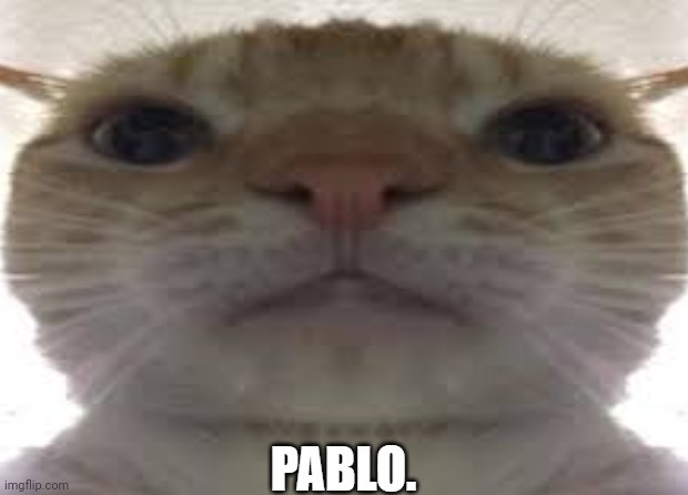 Pablo. | image tagged in you have been eternally cursed for reading the tags | made w/ Imgflip meme maker