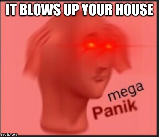 mega panik | IT BLOWS UP YOUR HOUSE | image tagged in mega panik | made w/ Imgflip meme maker