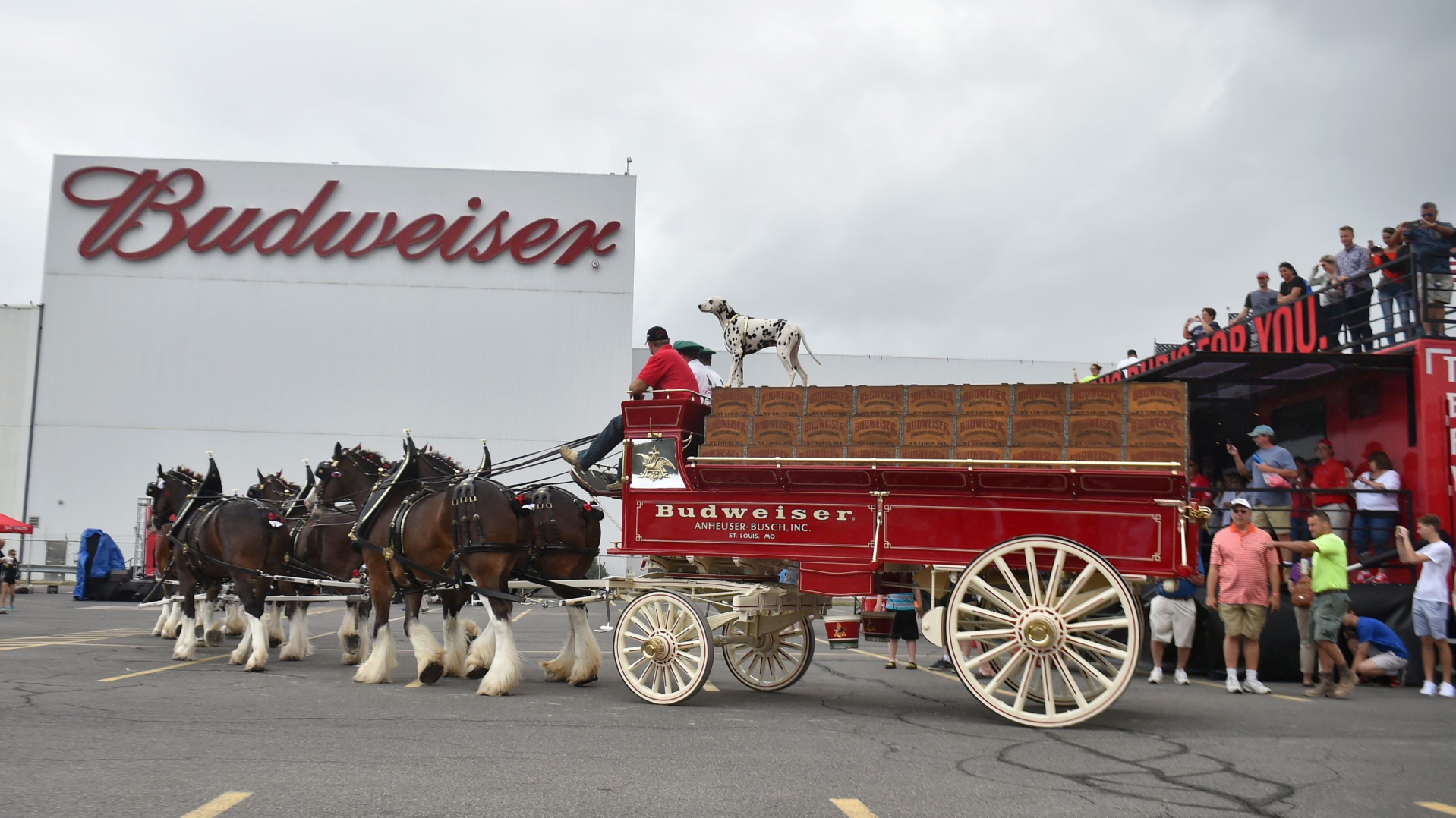 High Quality Budweiser Blank Meme Template