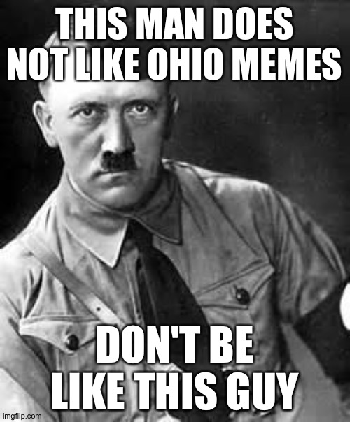 Balls | THIS MAN DOES NOT LIKE OHIO MEMES; DON'T BE LIKE THIS GUY | image tagged in adolf hitler,ohio,online,gifs,joe biden | made w/ Imgflip meme maker