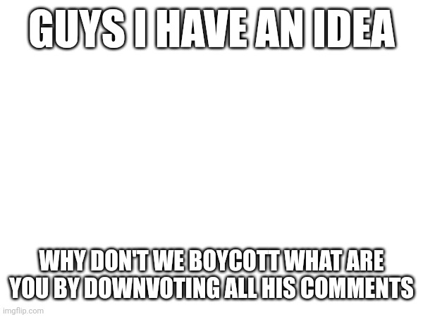 GUYS I HAVE AN IDEA; WHY DON'T WE BOYCOTT WHAT ARE YOU BY DOWNVOTING ALL HIS COMMENTS | made w/ Imgflip meme maker