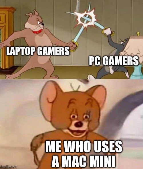 It’s true | LAPTOP GAMERS; PC GAMERS; ME WHO USES A MAC MINI | image tagged in tom and jerry swordfight,pc,laptop,gaming | made w/ Imgflip meme maker