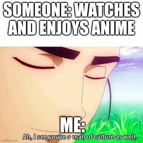 Ah,I see you are a man of culture as well | SOMEONE: WATCHES AND ENJOYS ANIME; ME: | image tagged in ah i see you are a man of culture as well | made w/ Imgflip meme maker