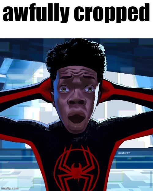 Spiderman fr fr ong!?!? | awfully cropped | image tagged in spiderman fr fr ong | made w/ Imgflip meme maker