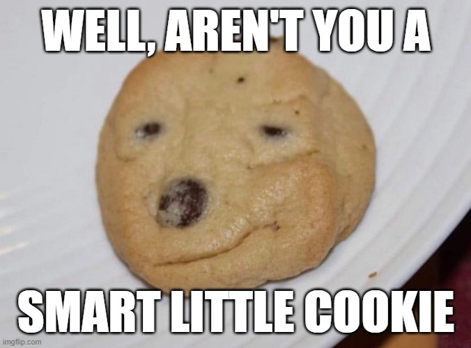 Smart little cookie | WELL, AREN'T YOU A; SMART LITTLE COOKIE | image tagged in funny food | made w/ Imgflip meme maker