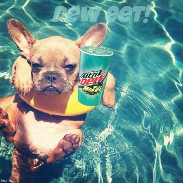 Summer is here dog pug | Dew eet! | image tagged in summer is here dog pug | made w/ Imgflip meme maker