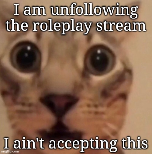 Flabbergasted cat | I am unfollowing the roleplay stream I ain't accepting this | image tagged in flabbergasted cat | made w/ Imgflip meme maker