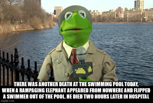 Kermit News Report | THERE WAS ANOTHER DEATH AT THE SWIMMING POOL TODAY, WHEN A RAMPAGING ELEPHANT APPEARED FROM NOWHERE AND FLIPPED A SWIMMER OUT OF THE POOL. H | image tagged in kermit news report | made w/ Imgflip meme maker
