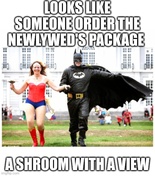 ?? | LOOKS LIKE SOMEONE ORDER THE NEWLYWED'S PACKAGE; A SHROOM WITH A VIEW | image tagged in mushrooms | made w/ Imgflip meme maker