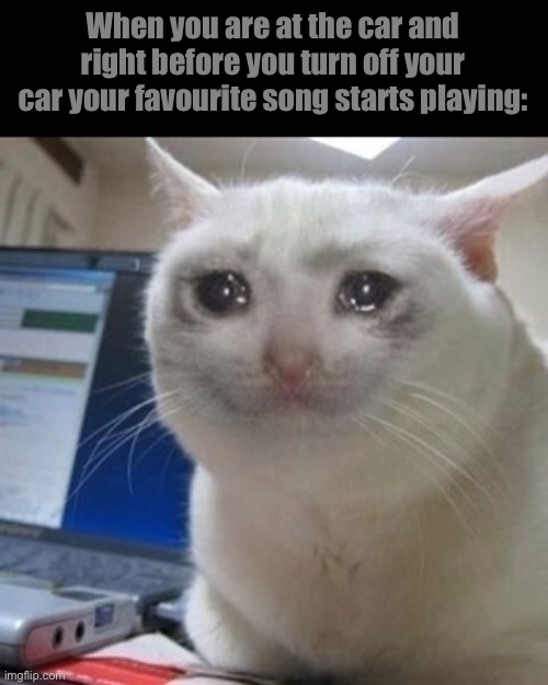 Crying cat | When you are at the car and right before you turn off your car your favourite song starts playing: | image tagged in crying cat | made w/ Imgflip meme maker