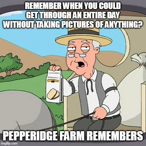 Pepperidge Farm Remembers | REMEMBER WHEN YOU COULD GET THROUGH AN ENTIRE DAY WITHOUT TAKING PICTURES OF ANYTHING? PEPPERIDGE FARM REMEMBERS | image tagged in memes,pepperidge farm remembers,meme | made w/ Imgflip meme maker