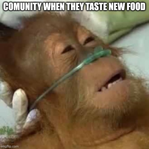 Dying orangutan | COMUNITY WHEN THEY TASTE NEW FOOD | image tagged in dying orangutan,new,food,memes,comunity | made w/ Imgflip meme maker