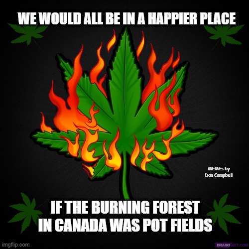 Burning Pot Leaf | WE WOULD ALL BE IN A HAPPIER PLACE; MEMEs by Dan Campbell; IF THE BURNING FOREST IN CANADA WAS POT FIELDS | image tagged in burning pot leaf | made w/ Imgflip meme maker
