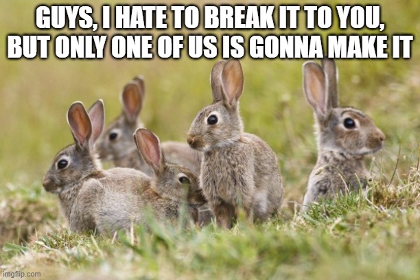 Reality Bites | GUYS, I HATE TO BREAK IT TO YOU, BUT ONLY ONE OF US IS GONNA MAKE IT | image tagged in bunnies,dark | made w/ Imgflip meme maker