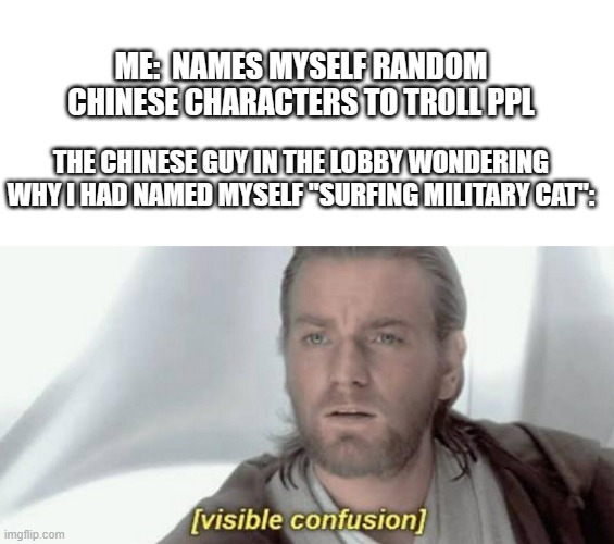 So true | ME:  NAMES MYSELF RANDOM CHINESE CHARACTERS TO TROLL PPL; THE CHINESE GUY IN THE LOBBY WONDERING WHY I HAD NAMED MYSELF "SURFING MILITARY CAT": | image tagged in blank text bar,visible confusion | made w/ Imgflip meme maker