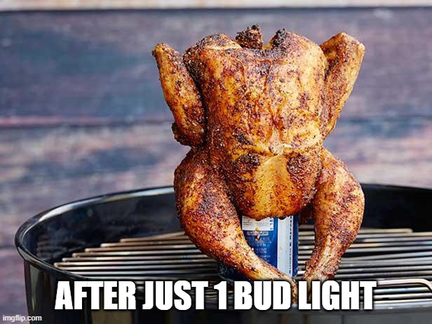 just 1 | AFTER JUST 1 BUD LIGHT | image tagged in bud light | made w/ Imgflip meme maker
